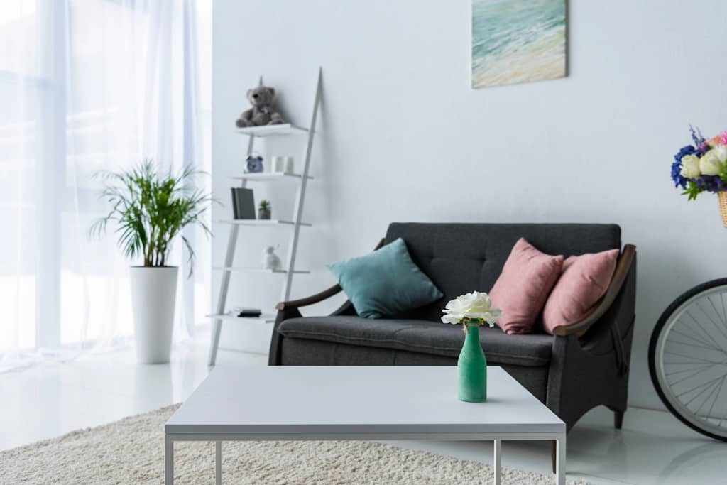 plante salon