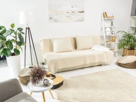 quelle plante mettre salon