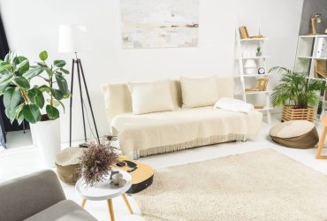 quelle plante mettre salon